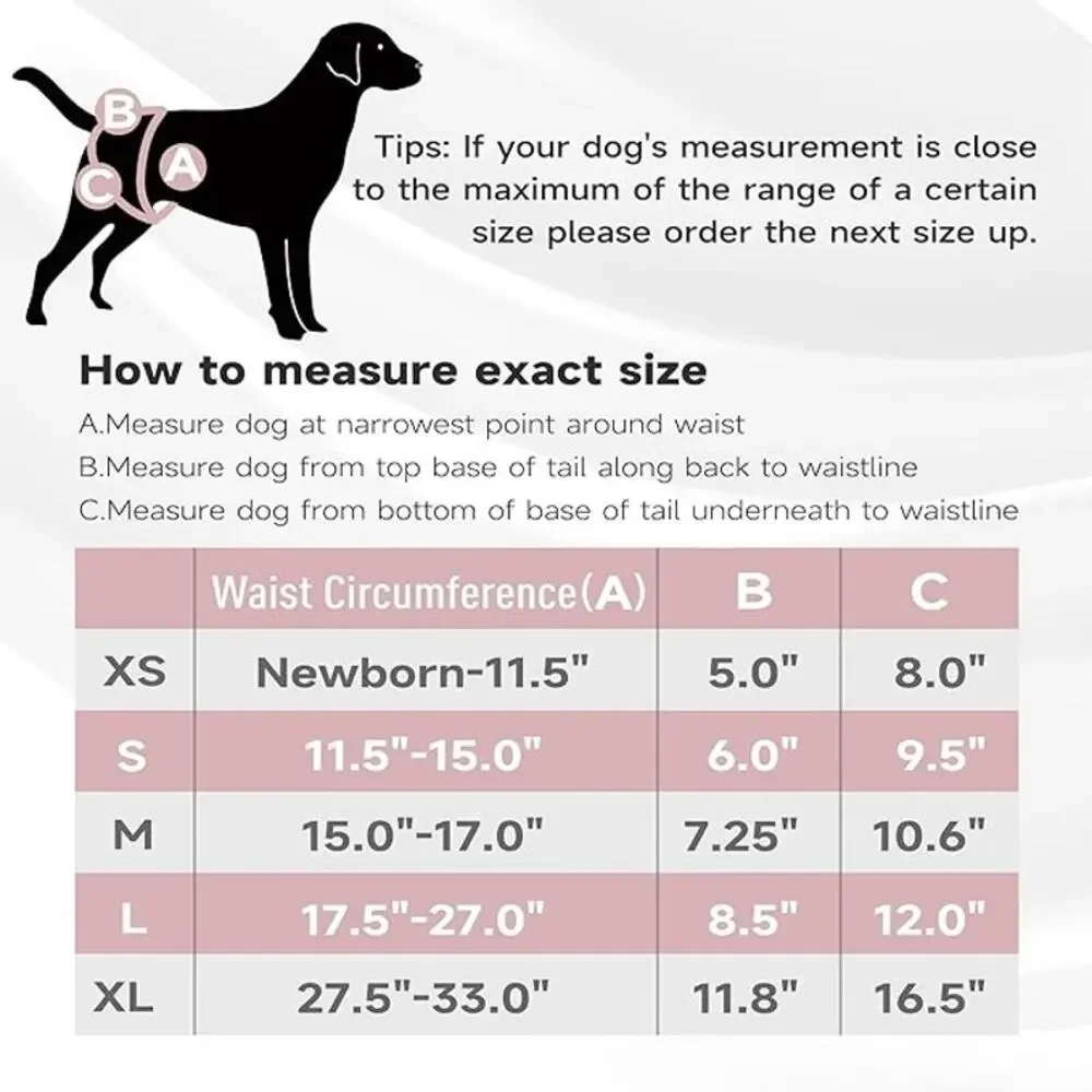 Paw Legend Washable Female Dog Diapers Reusable, Size M Black & Turquoise Velcro